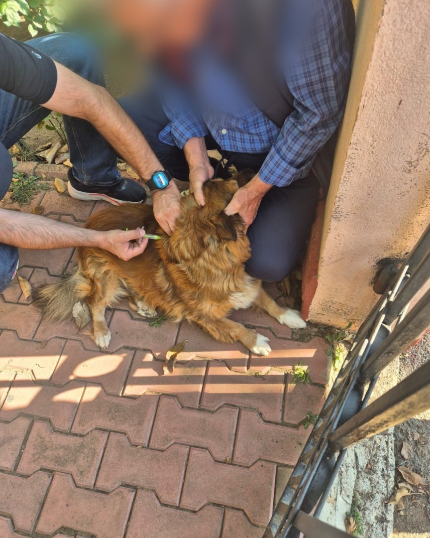 549984134_1133276962290773_4745927858613560081_n