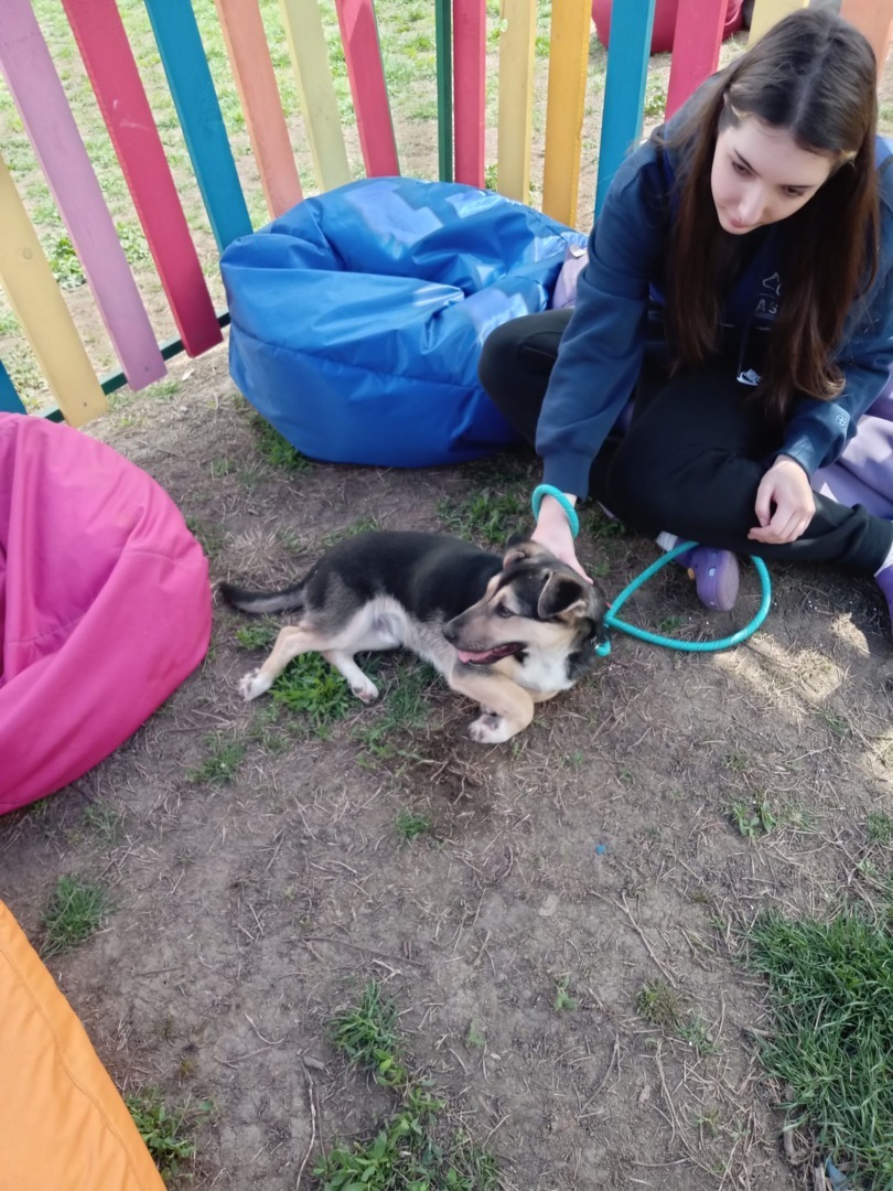 550159609_1134998528785283_7241220136360099709_n