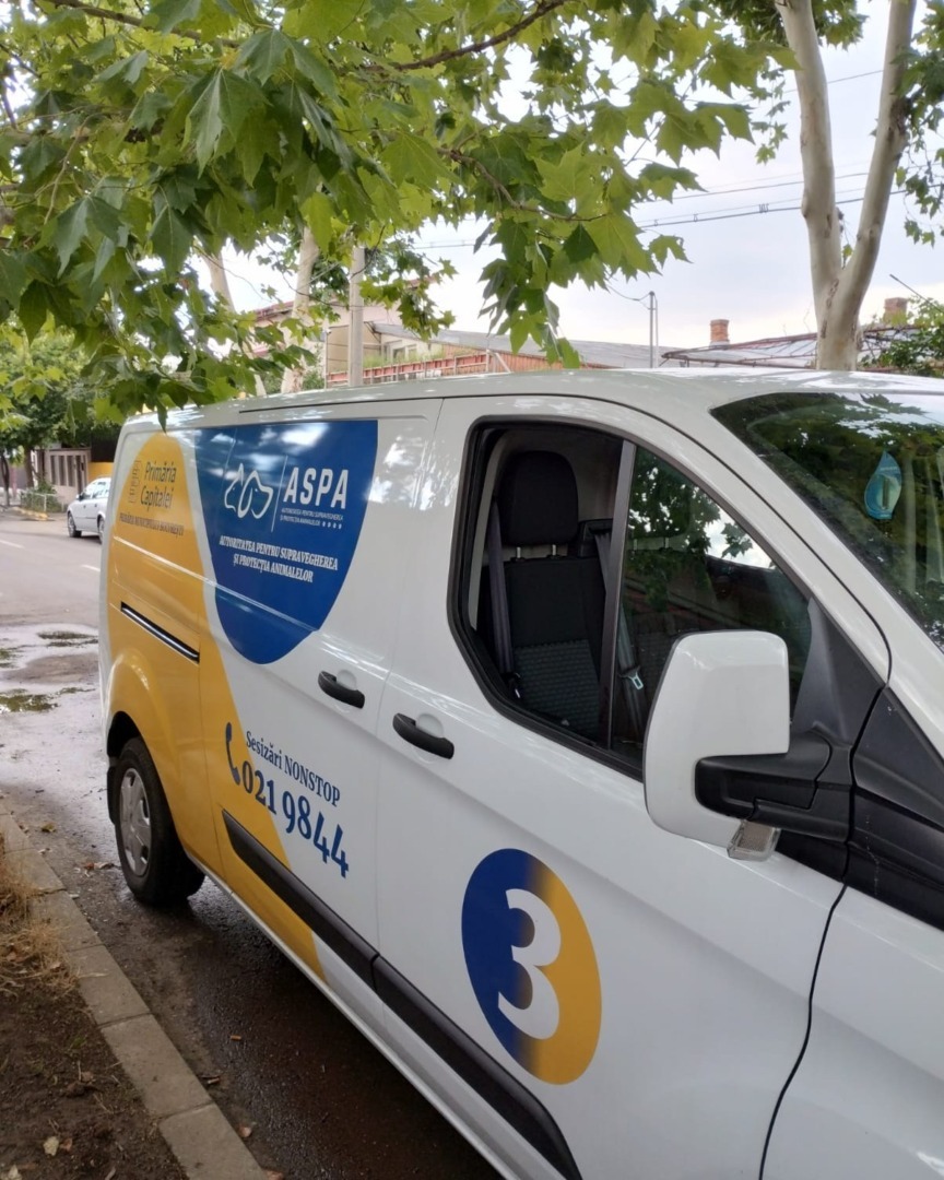 550402948_1133277968957339_3872519860077852913_n