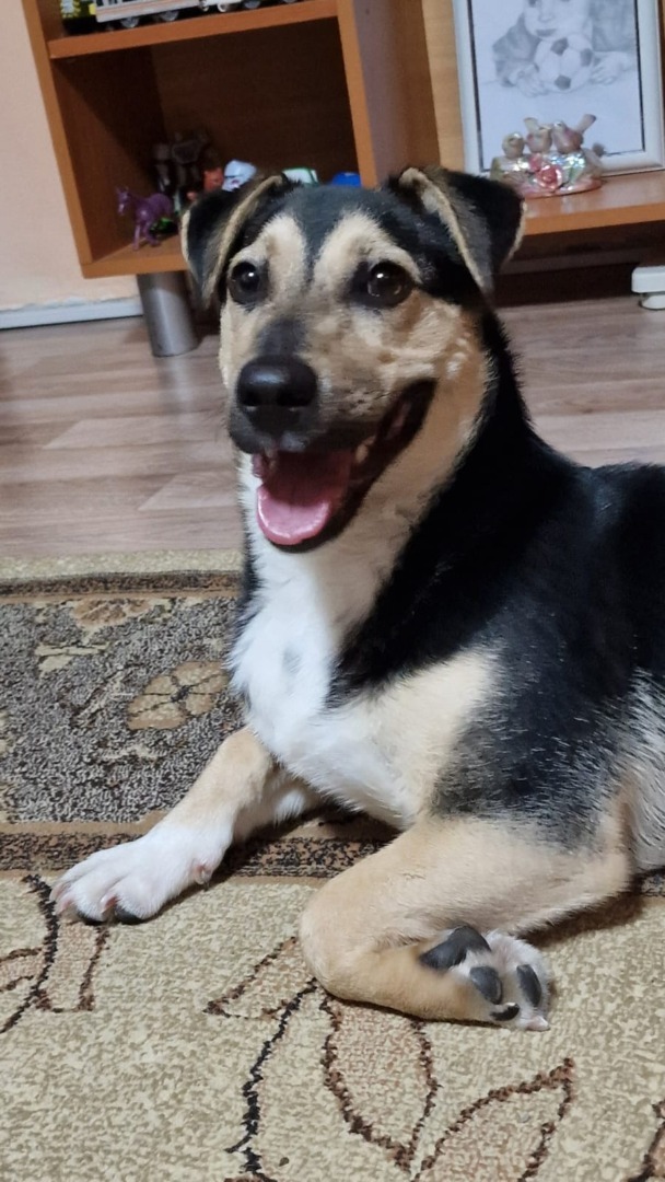 550511053_1134999958785140_8858614365411015444_n