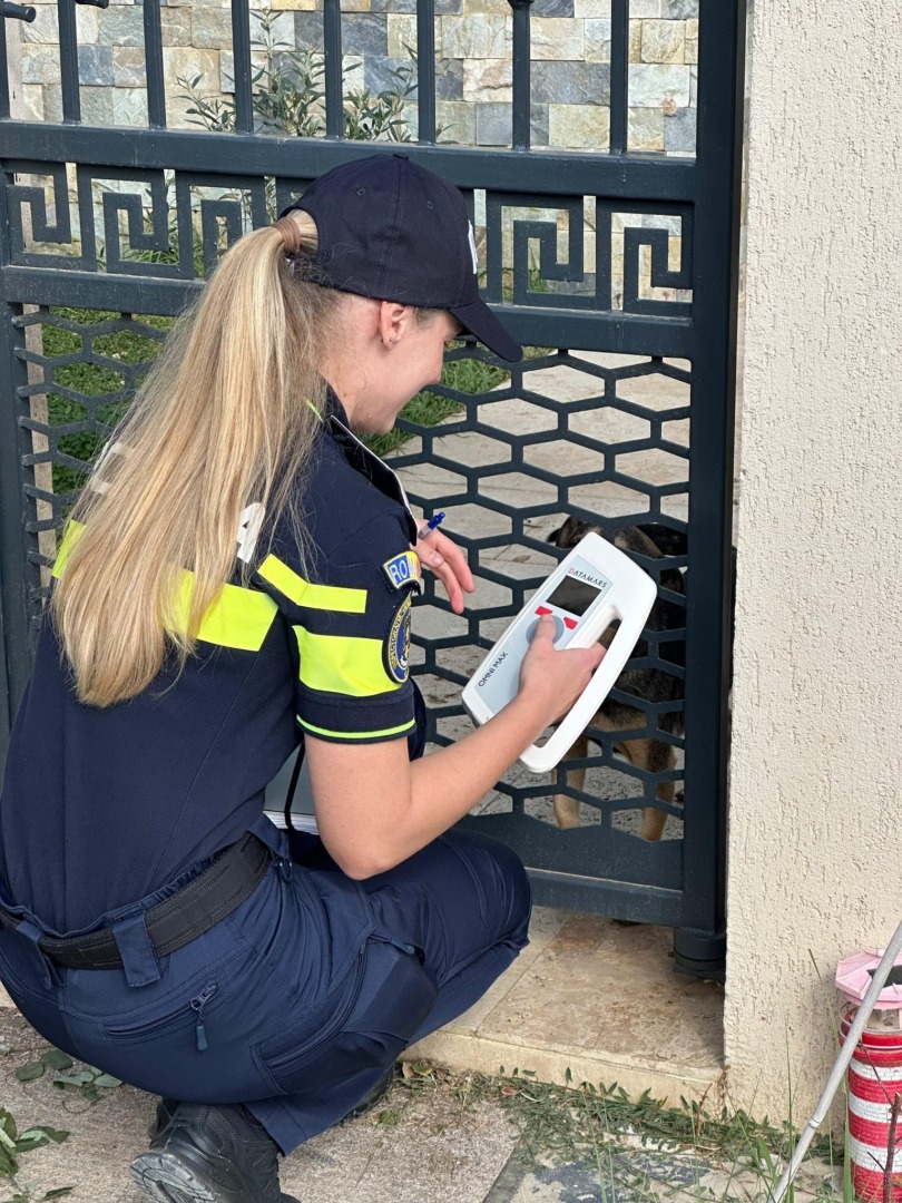 553476077_812733964456564_8343237322403628994_n