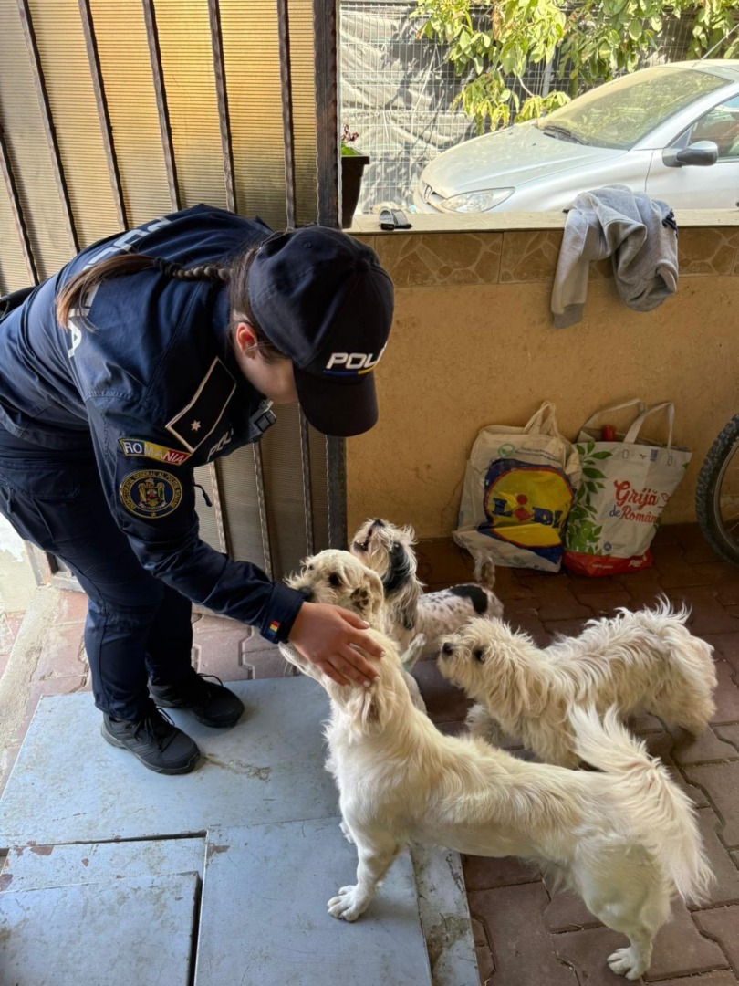 554685323_812733874456573_7883506225946540475_n