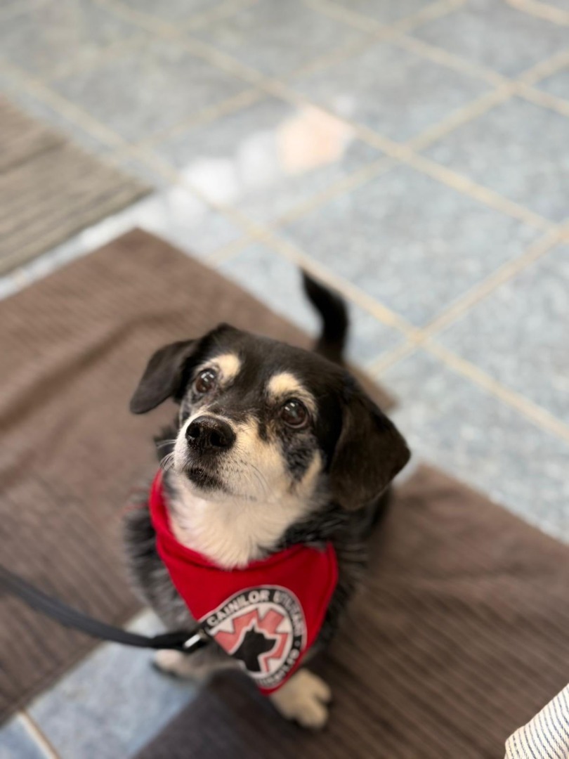 555213982_813653917697902_7149587429748311941_n