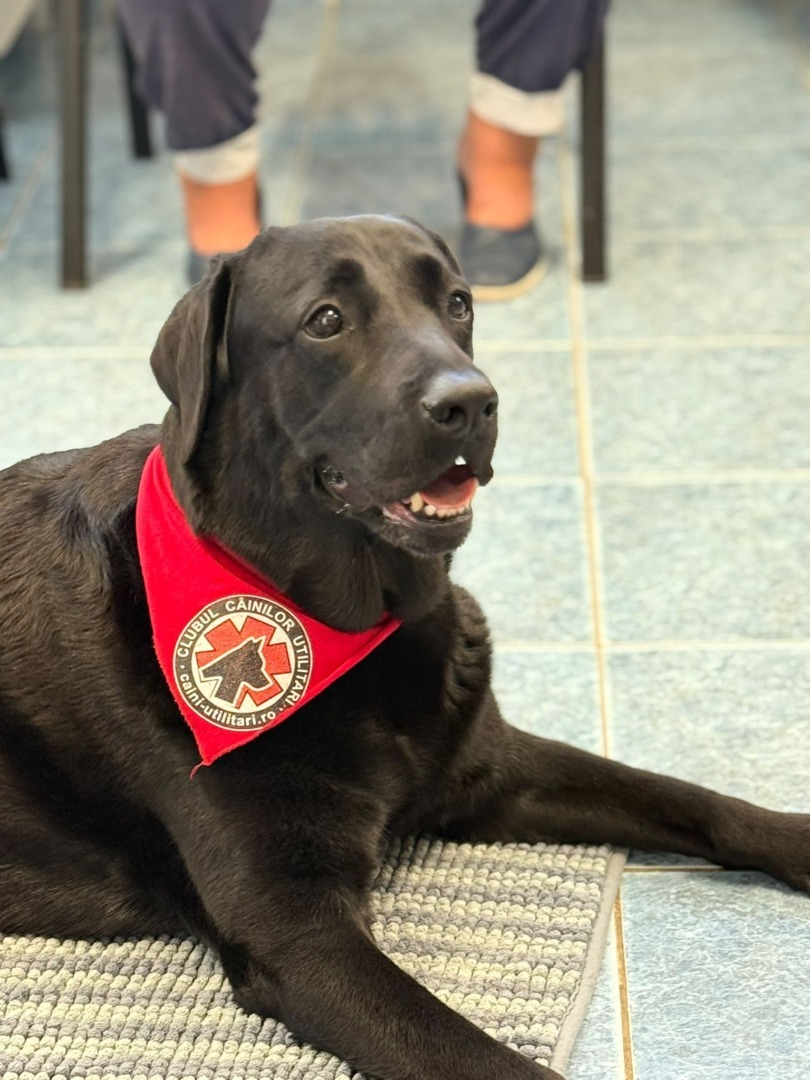 555236640_813653751031252_4328220026811350543_n