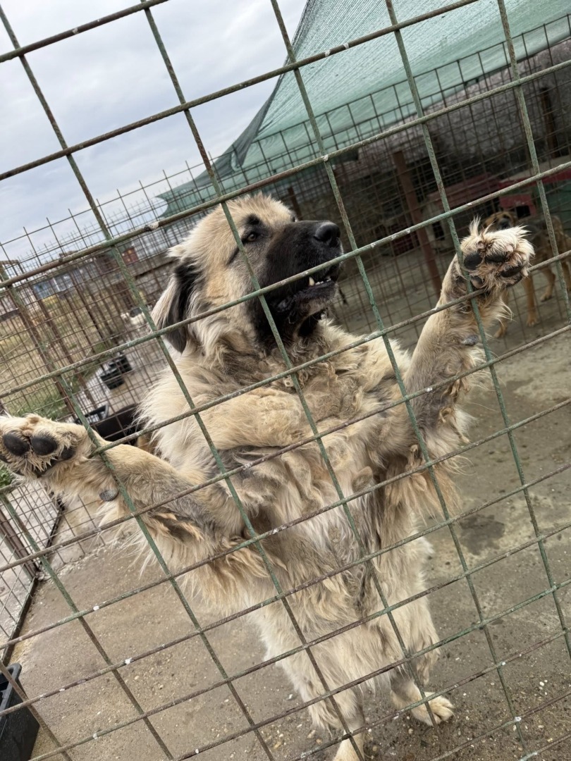 555723099_25531601899776586_1692663798007703030_n