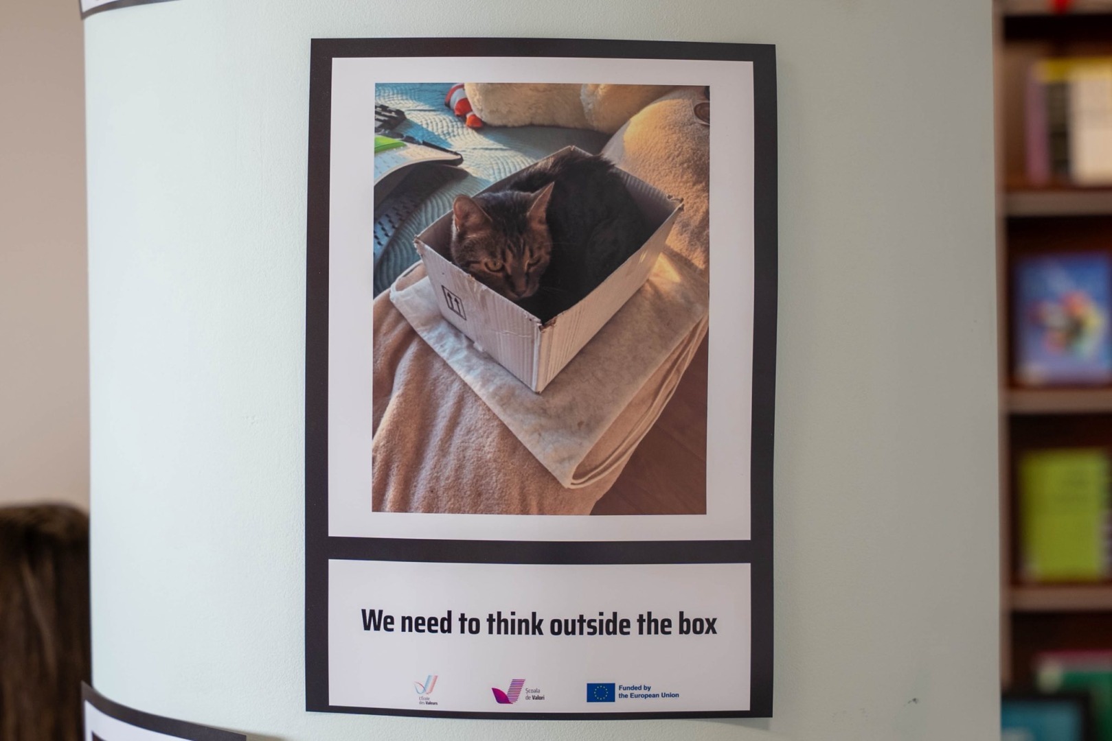 556018246_816250214104939_4282734364473080666_n