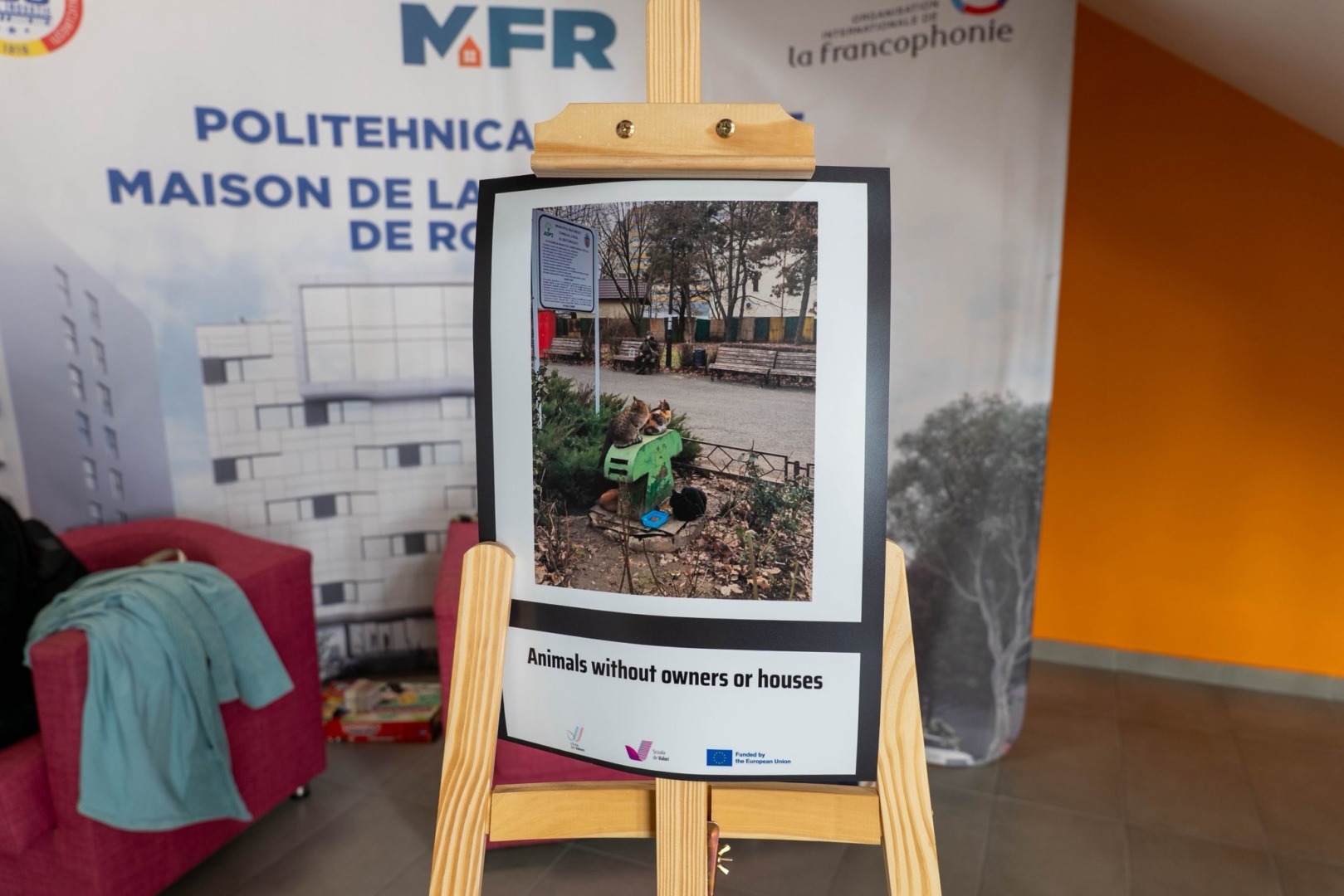 556555741_816250247438269_3190753097939758644_n