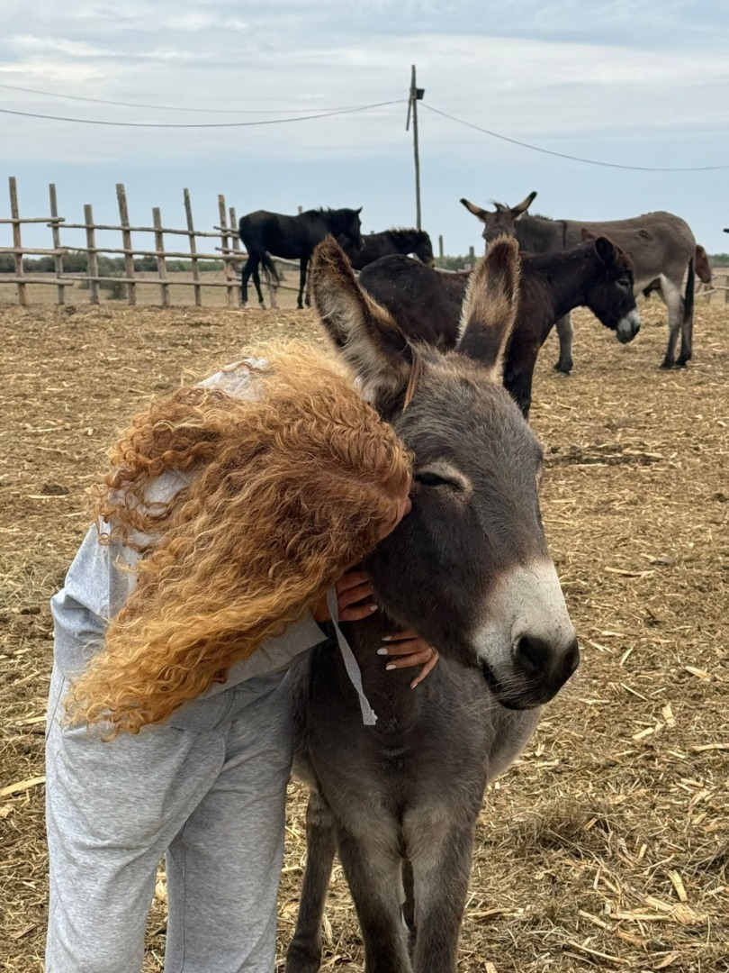 556671083_25531602099776566_7060258502264718945_n