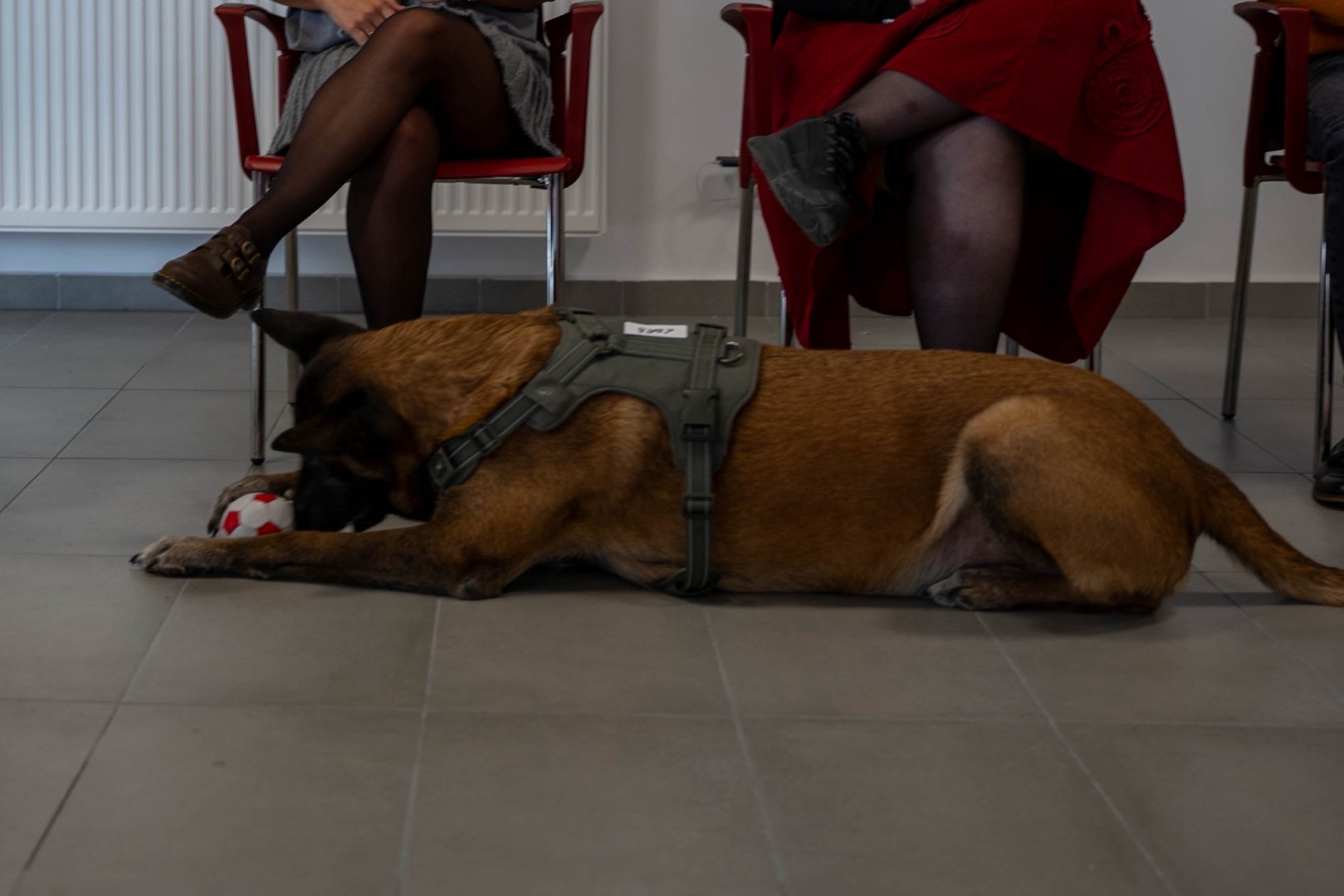 556837866_816250390771588_1745567515357805791_n