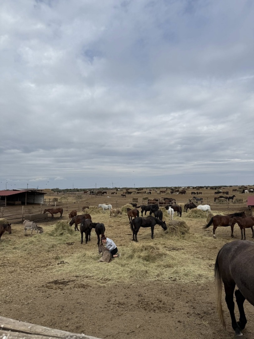 557033375_25531601779776598_6119605977786979835_n