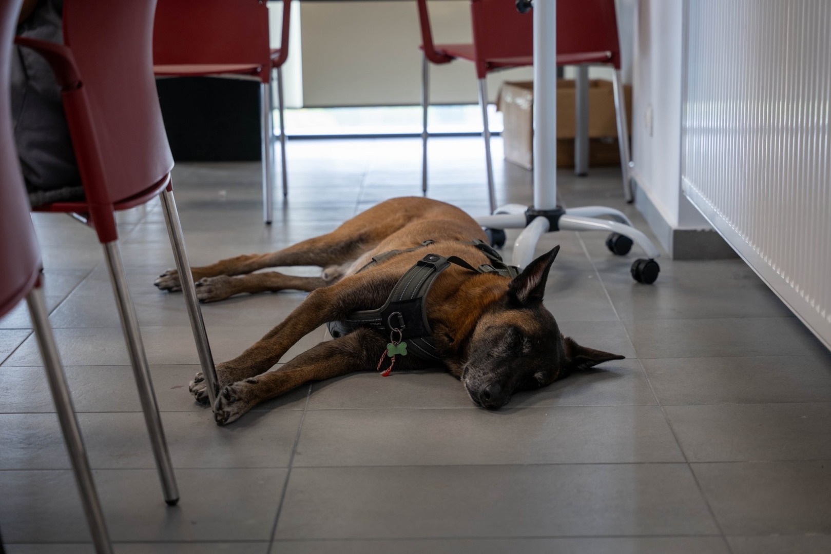 557457303_816250397438254_1721335034371066005_n