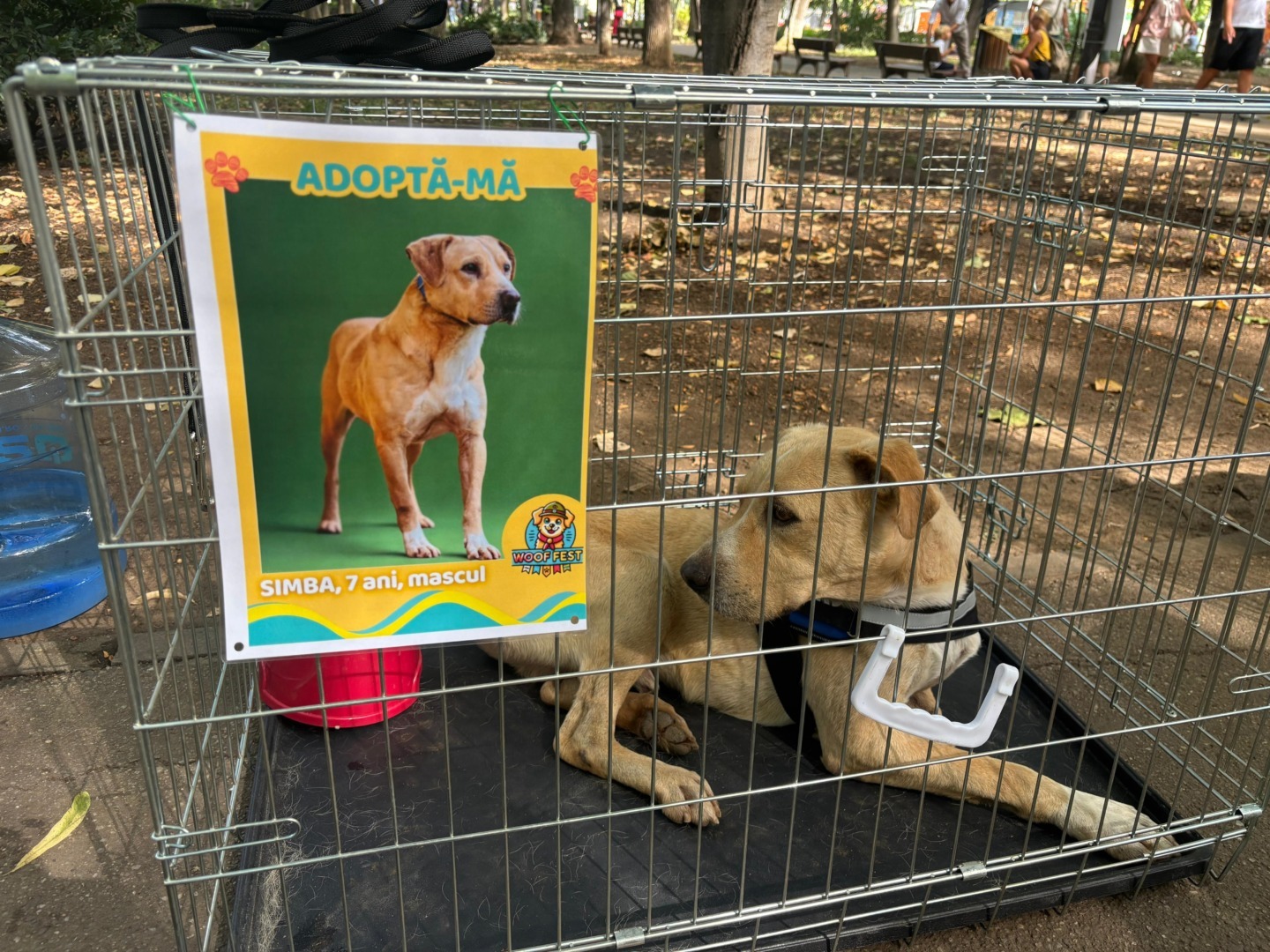 59b013d6-298a-40b0-87ec-e7d288618d9f