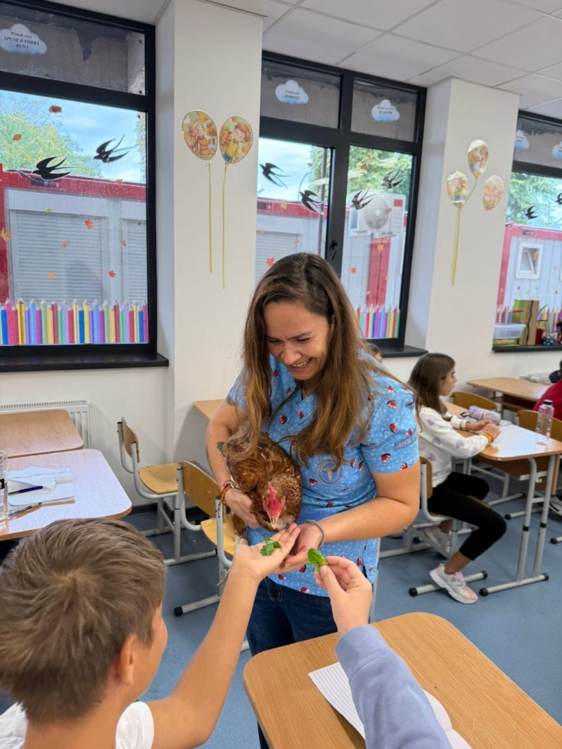 66499abf-0374-404f-a1a4-733d13a0bf80