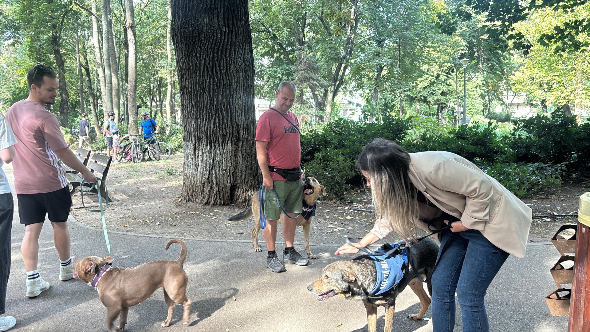 7cac236a-e949-4d5e-babb-2cb5f30abeea