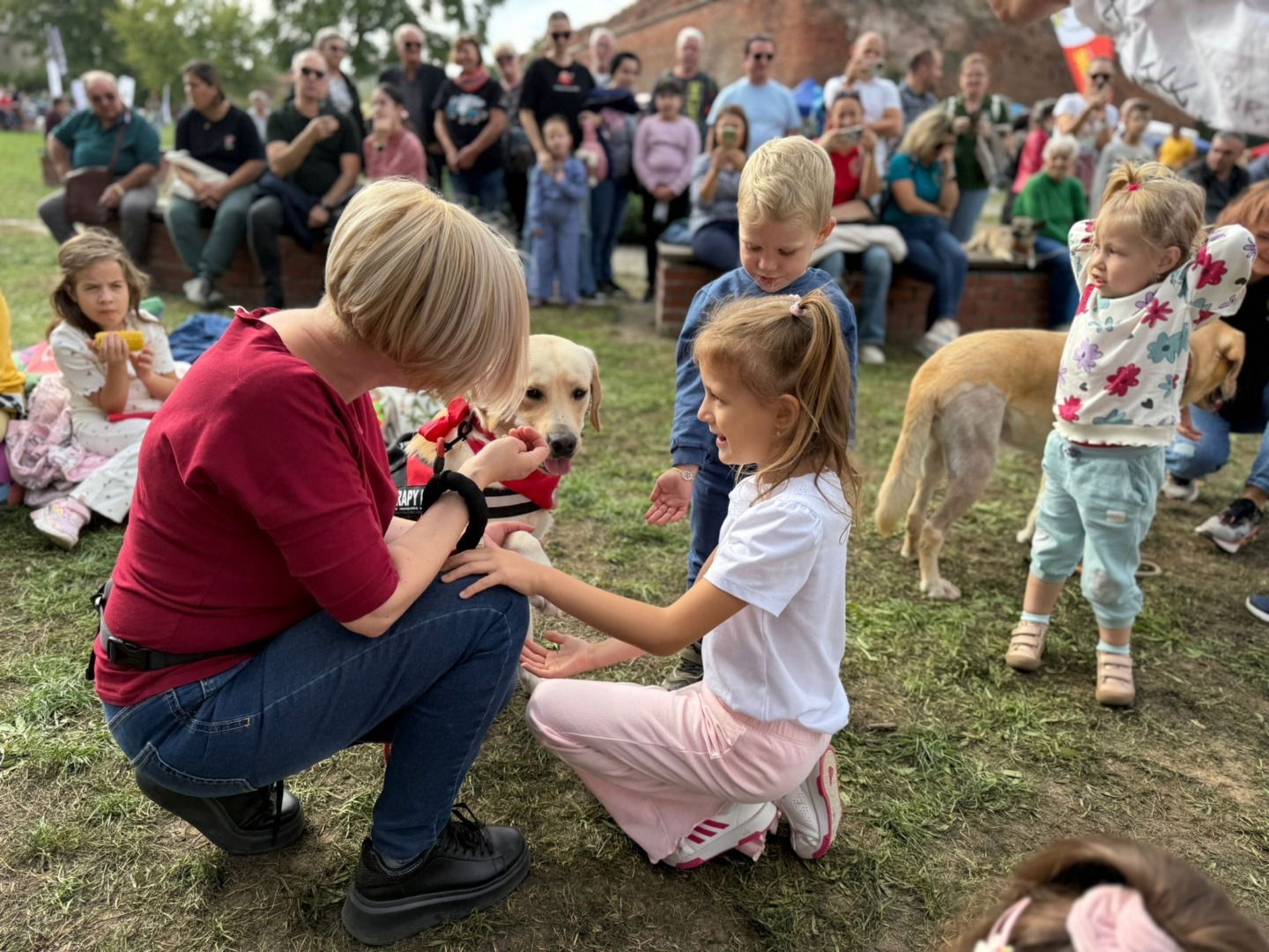 8a079616-1142-4a37-b46b-5dac6628c594