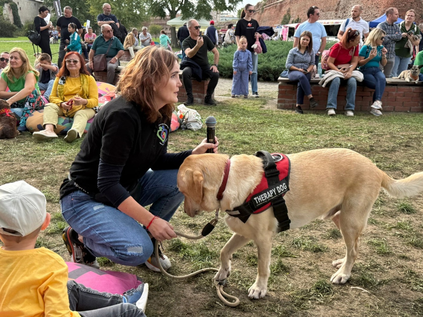 9f4c7481-4a89-4047-b61a-e05d59b788d8