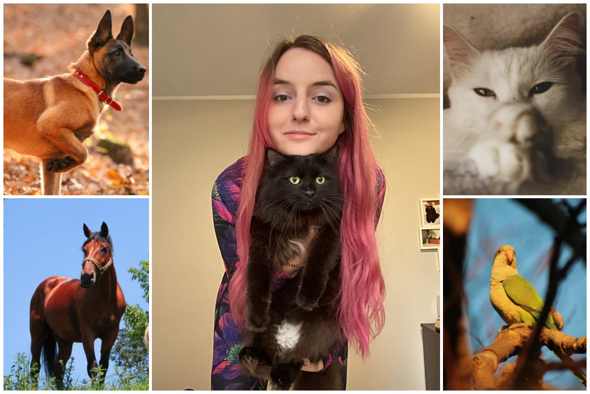 Colaj cu Adriana Mocan și câteva dintre fotografiile realizate de ea