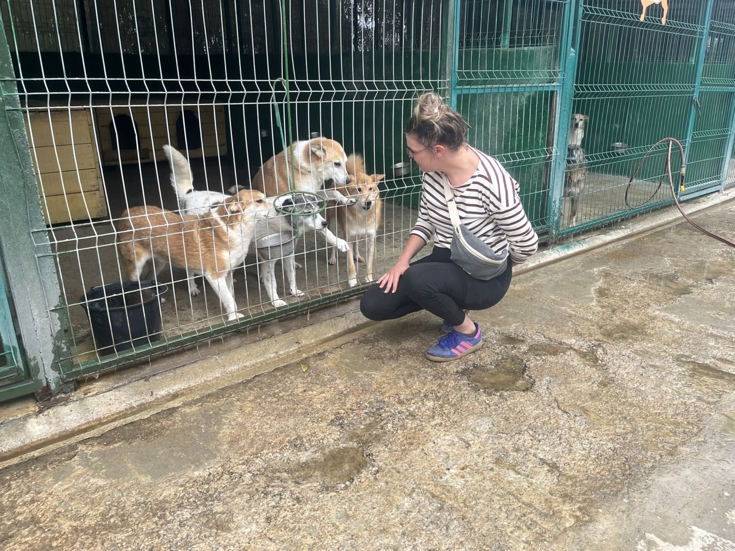 Emilie Durand experta Franta vizita Romania Adapostul Speranta