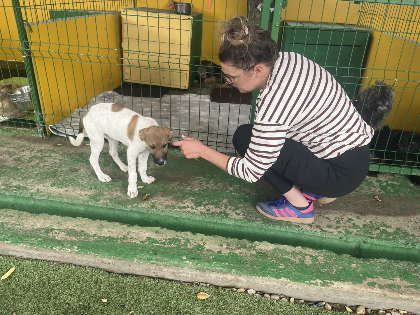 Emilie Durand experta Franta vizita la Adapostul Speranta