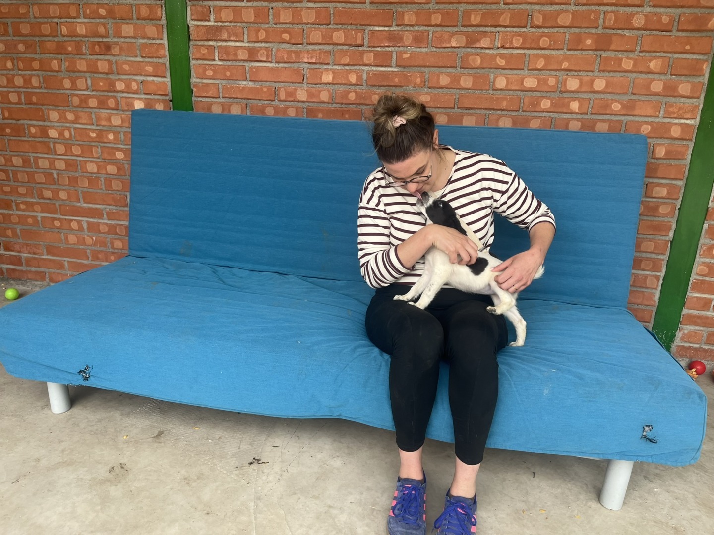 Emilie expert comportament canin Franta in Romania