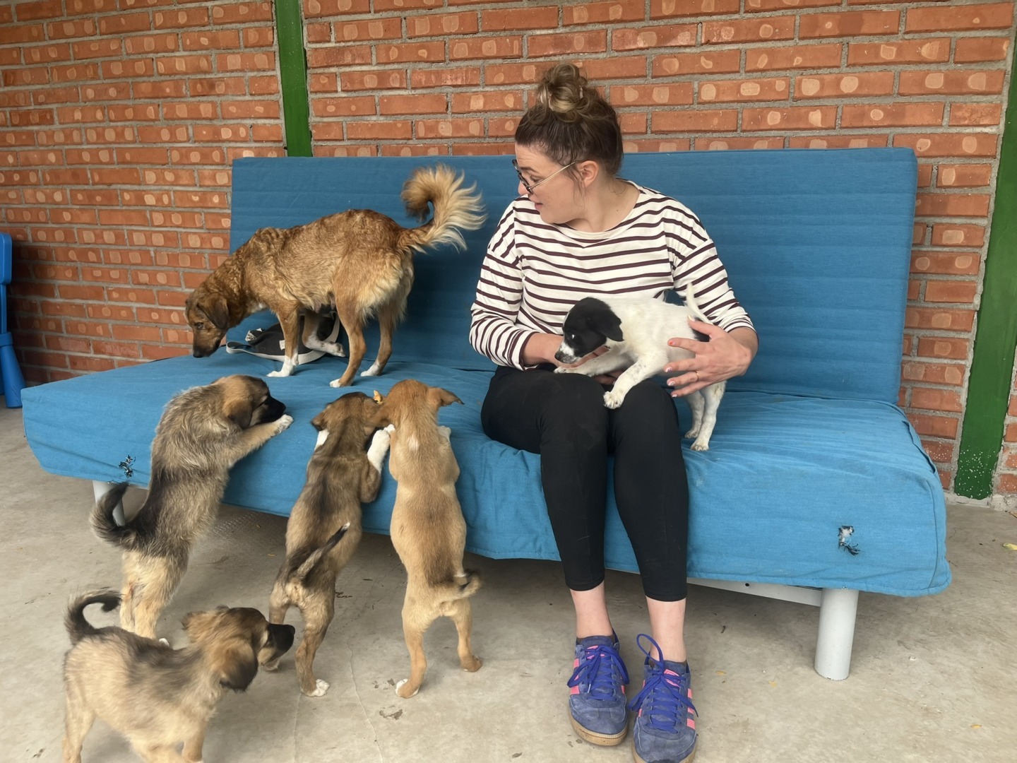 Emilie expert comportament canin Franta la Adapostul Speranta