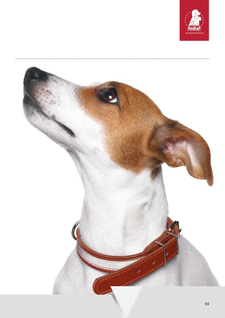 Raport Federația Europeană a Industriei Hranei pentru Animale de Companie