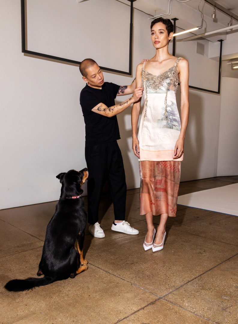 Purina Dog Chow Fashion