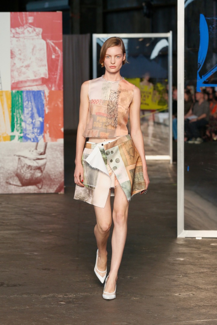 Purina Dog Chow Model