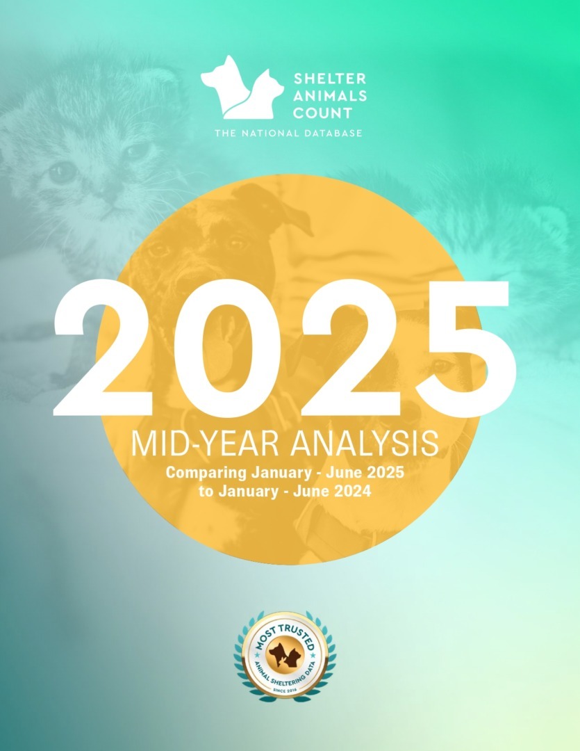 Raport Shelter Animals Count