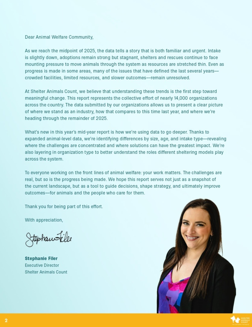 Raport Shelter Animals Count