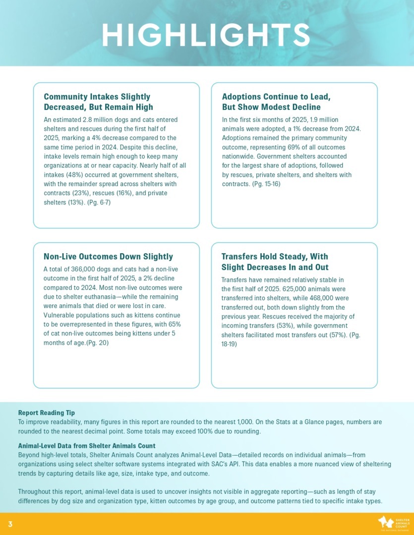 Raport Shelter Animals Count