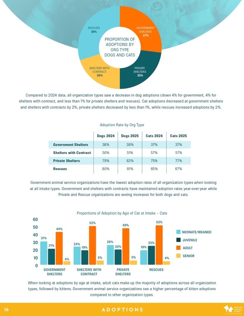 Raport Shelter Animals Count