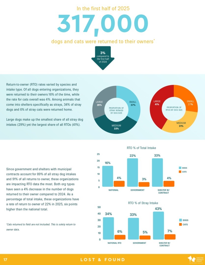 Raport Shelter Animals Count