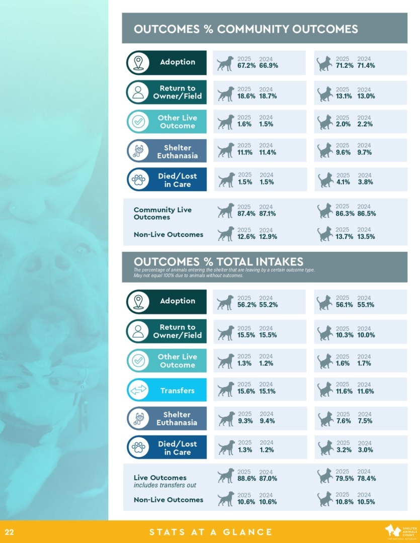 Raport Shelter Animals Count