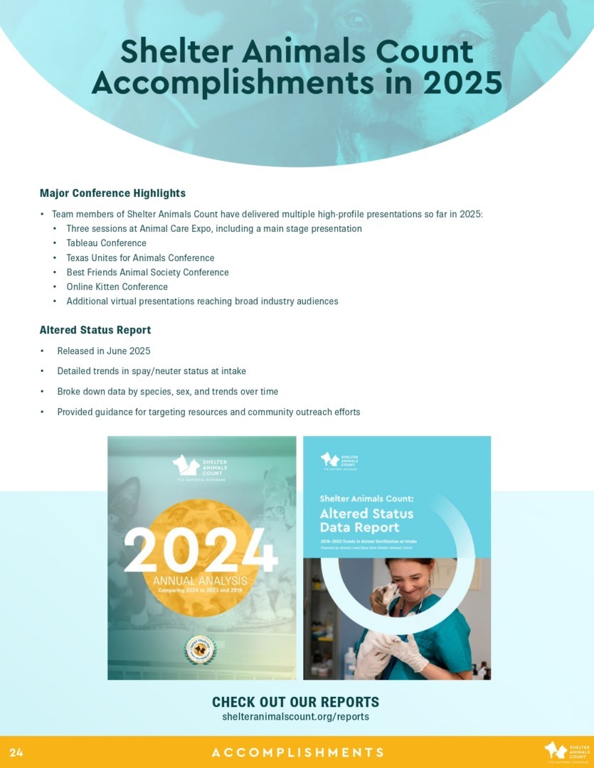 Raport Shelter Animals Count