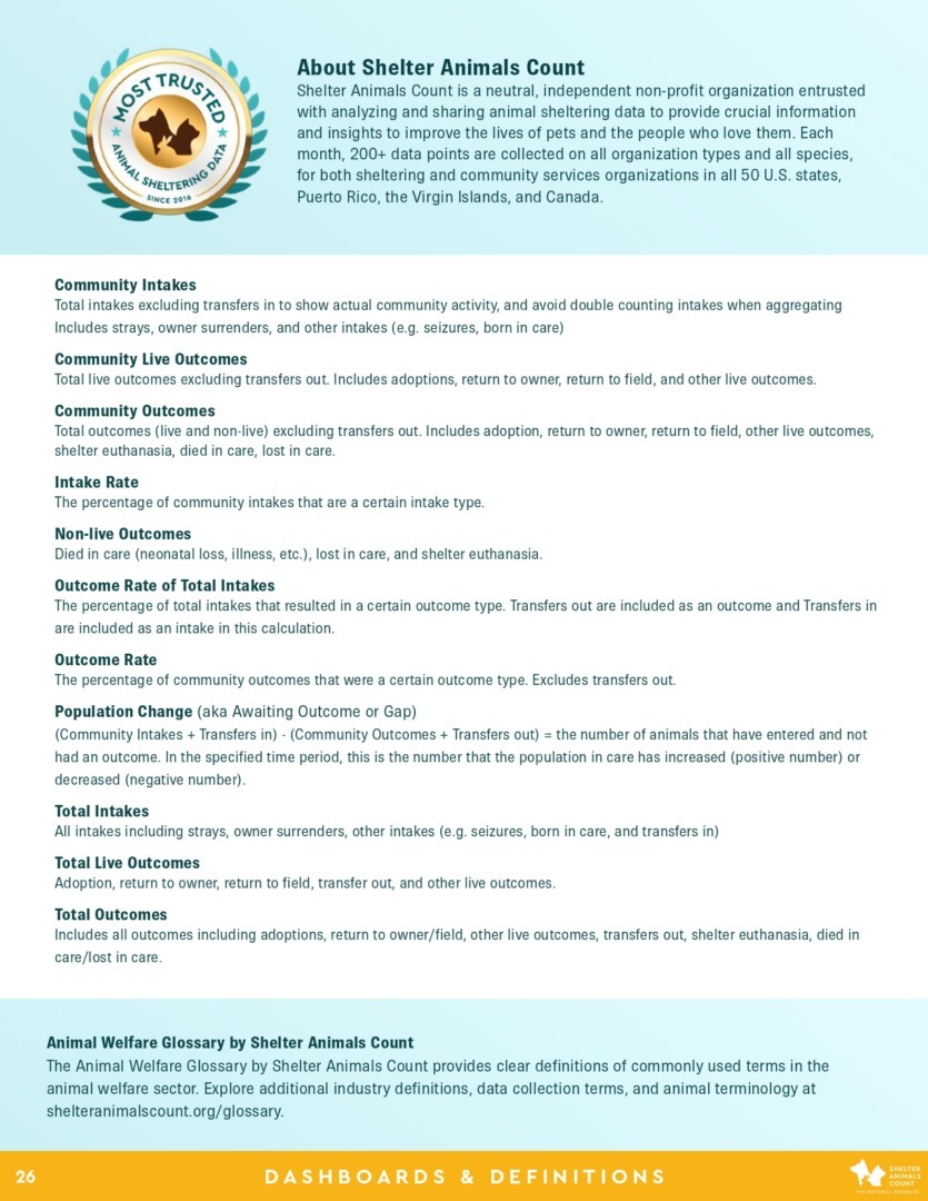 Raport Shelter Animals Count