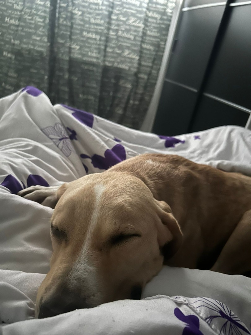 WhatsApp Image 2025-09-08 at 09.40.53