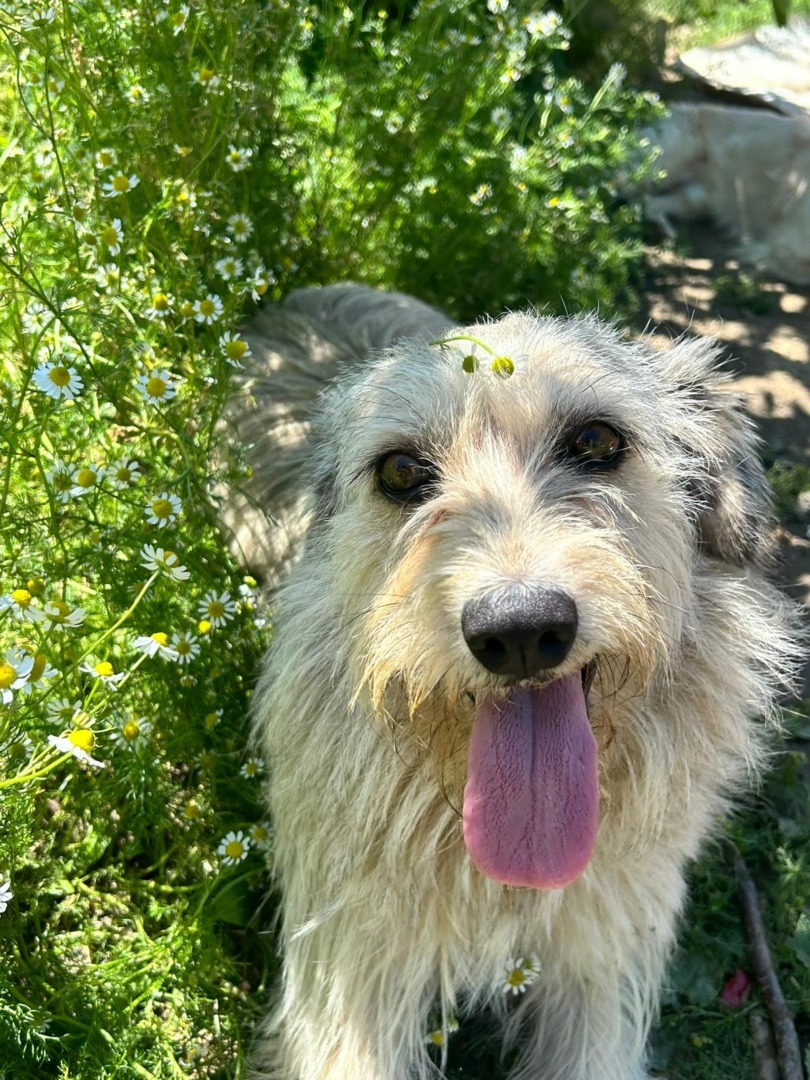 WhatsApp Image 2025-09-08 at 18.36.34 (1)