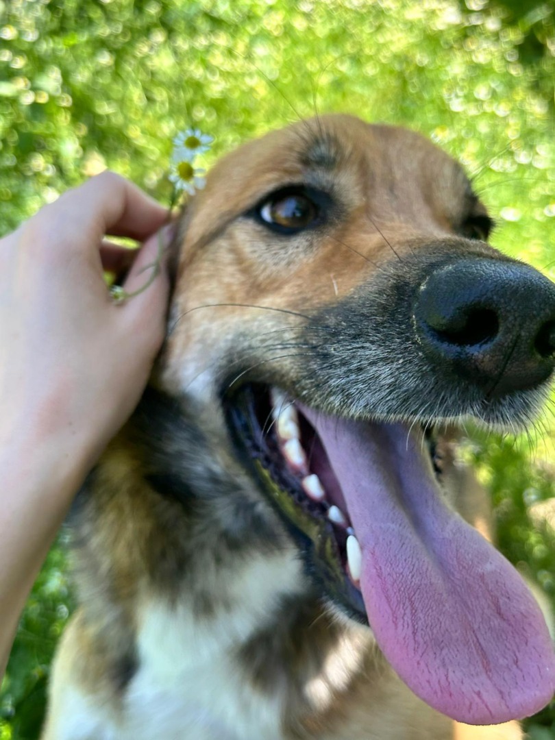 WhatsApp Image 2025-09-08 at 18.36.34 (2)