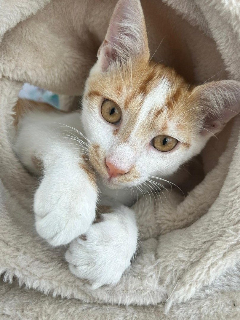 WhatsApp Image 2025-09-08 at 18.36.34 (3)