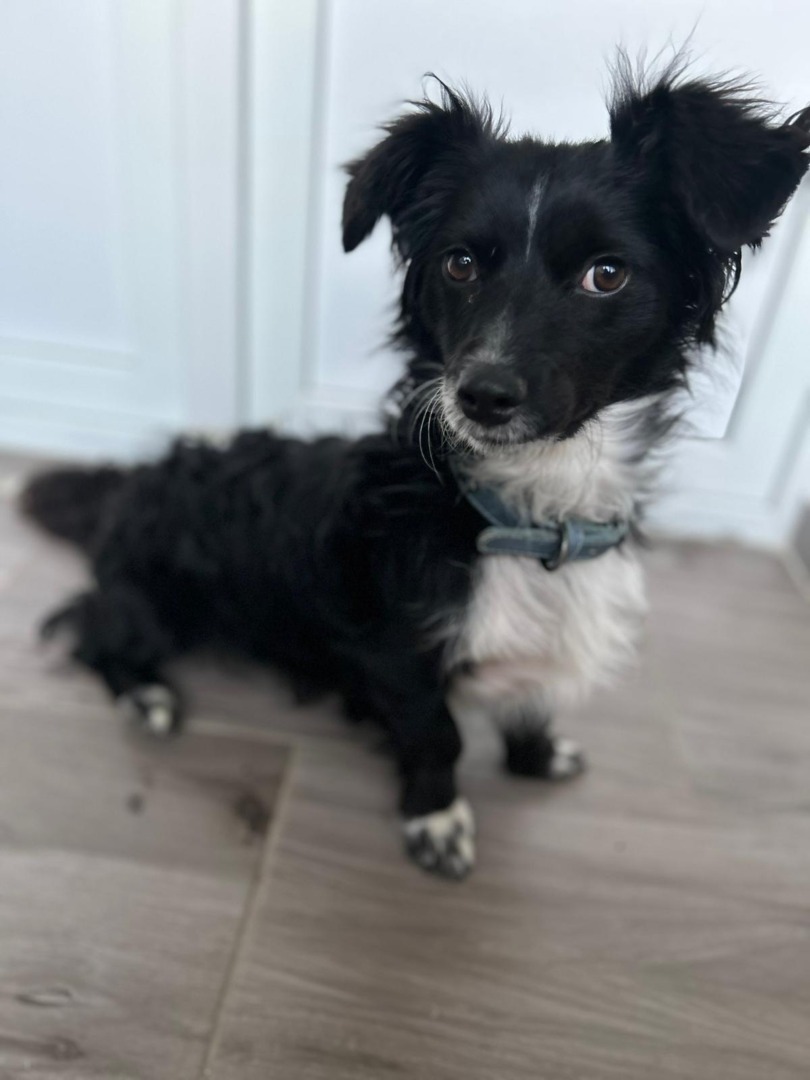 WhatsApp Image 2025-09-08 at 18.36.34 (4)