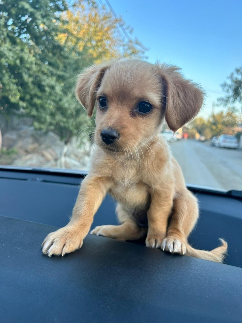 WhatsApp Image 2025-09-08 at 18.36.34 (5)