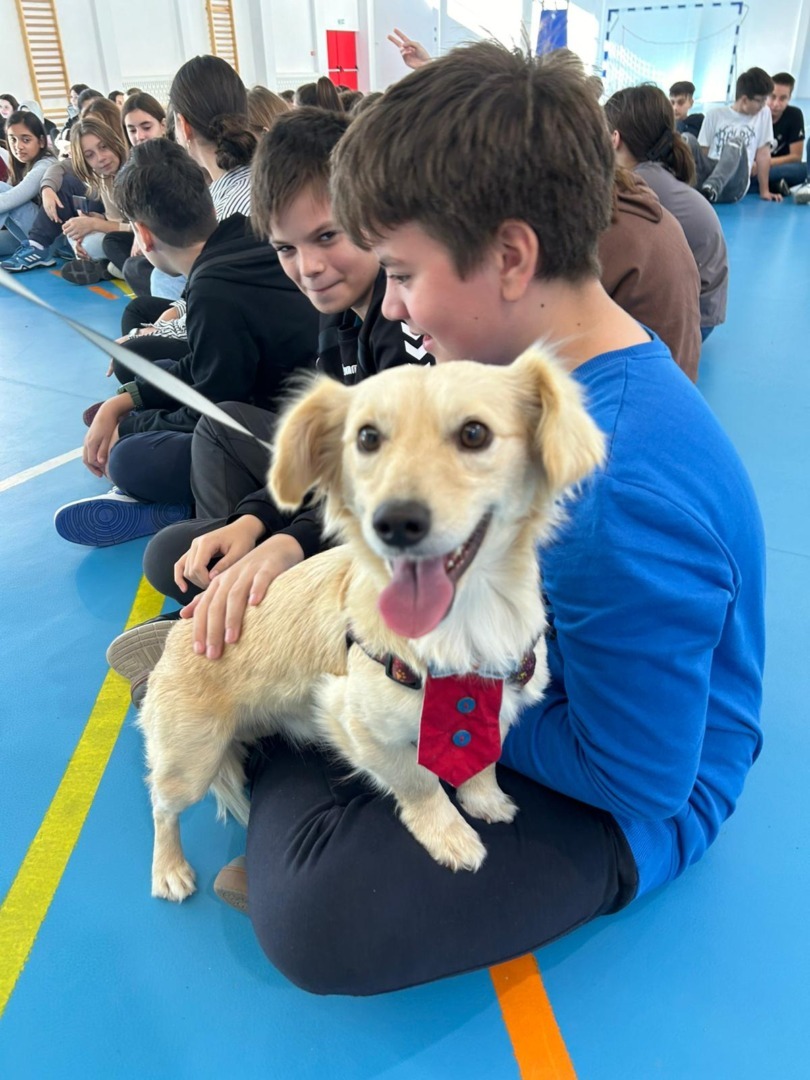 WhatsApp Image 2025-09-08 at 18.36.34 (6)