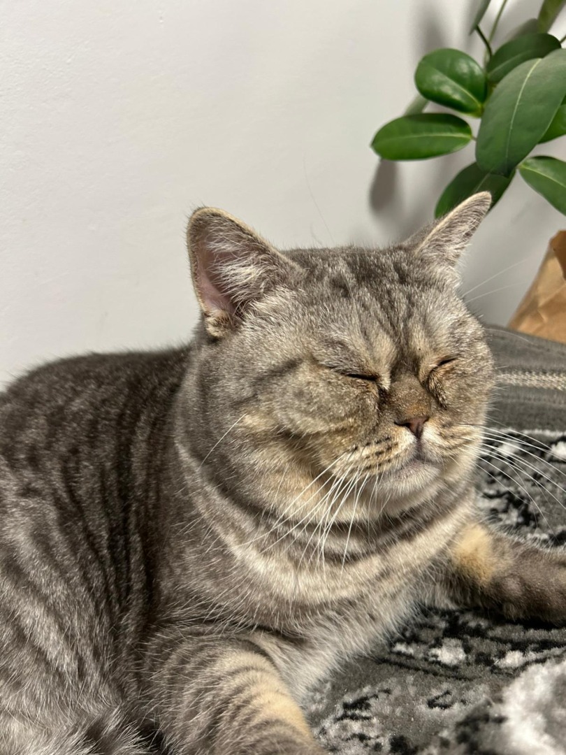 WhatsApp Image 2025-09-08 at 18.36.34 (7)