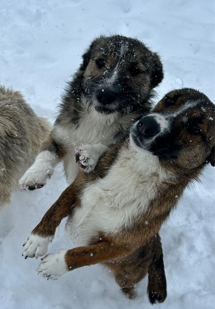 WhatsApp Image 2025-09-08 at 18.36.34 (8)