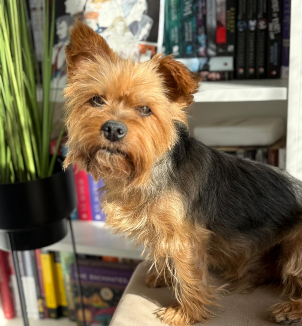 WhatsApp Image 2025-09-08 at 18.36.34 (9)