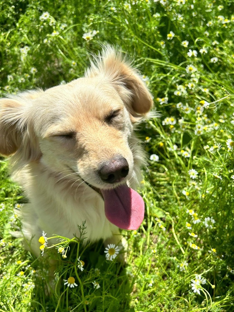 WhatsApp Image 2025-09-08 at 18.36.34