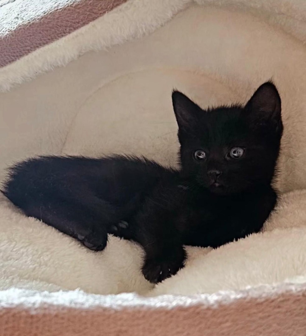 WhatsApp Image 2025-09-10 at 10.39.26 (1)