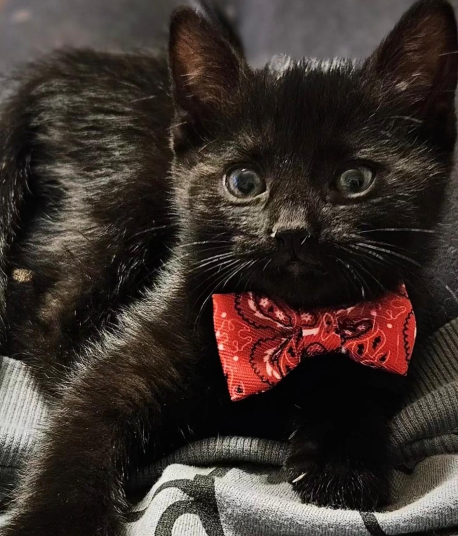 WhatsApp Image 2025-09-10 at 10.39.26 (2)