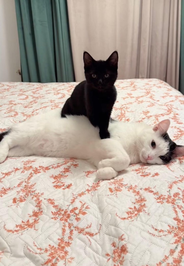 WhatsApp Image 2025-09-10 at 10.39.26 (4)